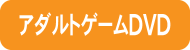 アダルトゲームDVD